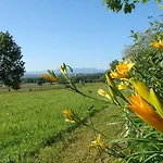 Le Grand Jardin
