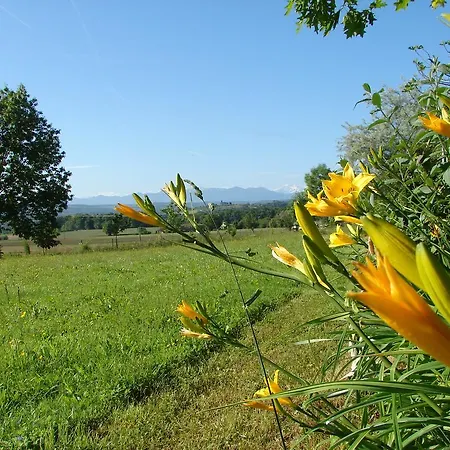 Le Grand Jardin